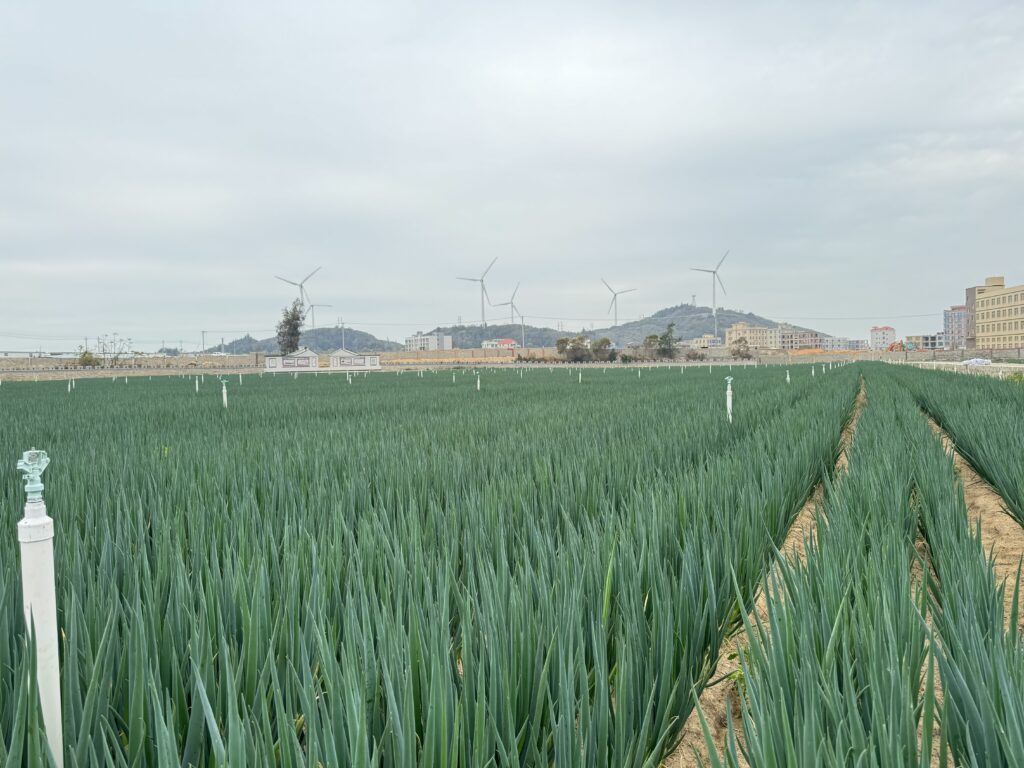 現在の画像に代替テキストがありません。ファイル名: IMG_6488-scaled.jpg